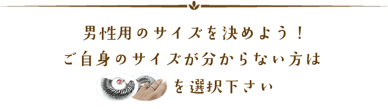 男性サイズ
