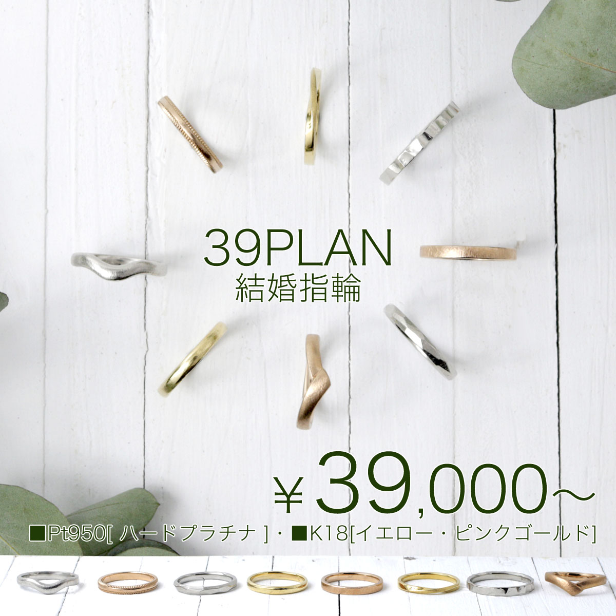 39プラン通常