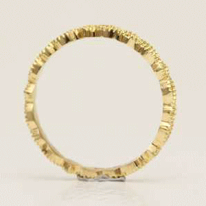 エリザベス・モチーフの動画