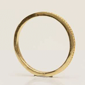 ヴィオラ・ウェーブの動画